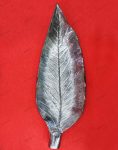 Leaf Shaped Platter - Silver